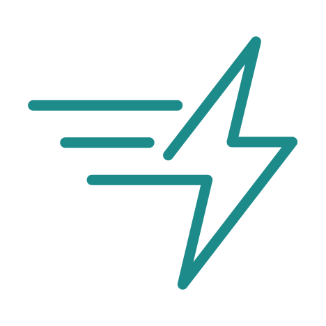 fast icon